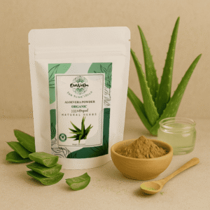 Aloe Vera Powder <span class="hnname"> घृतकुमारी पाउडर / एलोवेरा पाउडर</span>